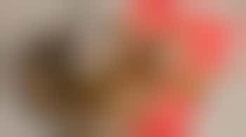 Marokkaans-Nederlandse dame zoekt positief maatje