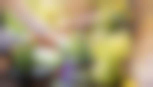 Do you like gardening? Make elderly neighbors happy with your help!