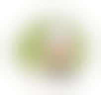 Houd jij van koken met ouderen?