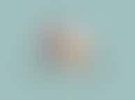 Humanitas Haagland is op zoek naar Tandem maatjes!