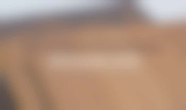 Curious about our archive? Join the Information Morning on 29 October 2025