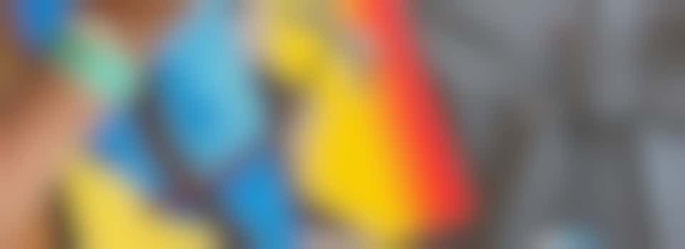 Bezorg kinderen uit de Schilderswijk een gave zomer!