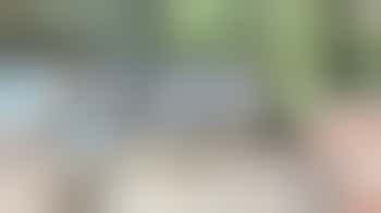 Gezocht: Vrijwilliger voor het bijhouden van onze binnentuin