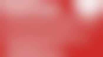 Volunteers wanted! Will you help us at our location on Regentesselaan?