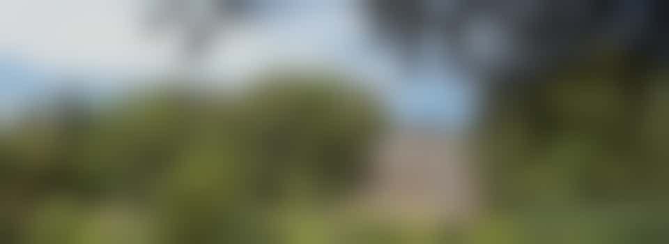 Huiscoördinator bij Landhuis Oud Amelisweerd