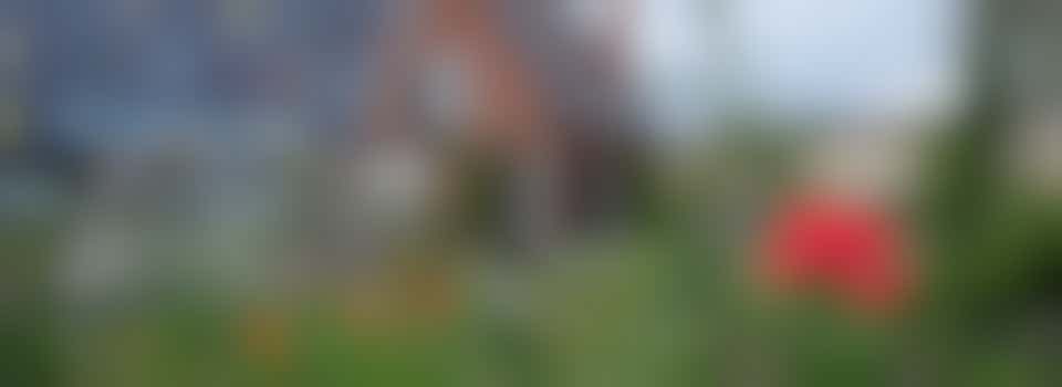 Coördinator Moestuin Havenpark