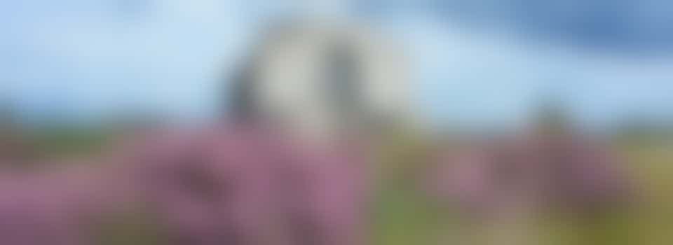 Wandelvrijwilliger Radio Kootwijk gezocht