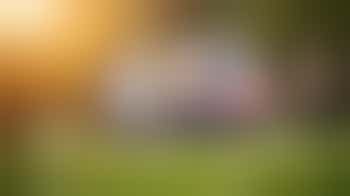 Enjoying a walk with clients? We are looking for you!