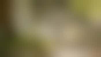 Maatje Beekbergen Het Hietveld