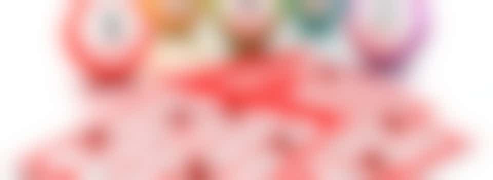 Bingo Spelleid(st)er