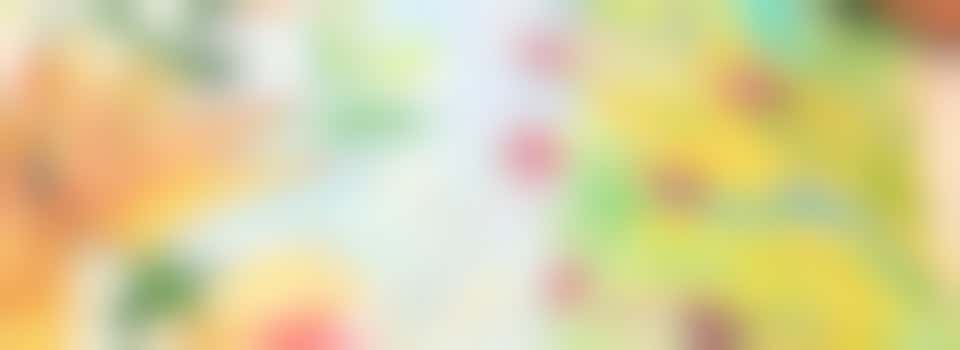 Creatieve begeleider voor “Kleuren van Verbinding"