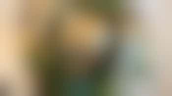 NIEUWE KOOK/EETGROEP