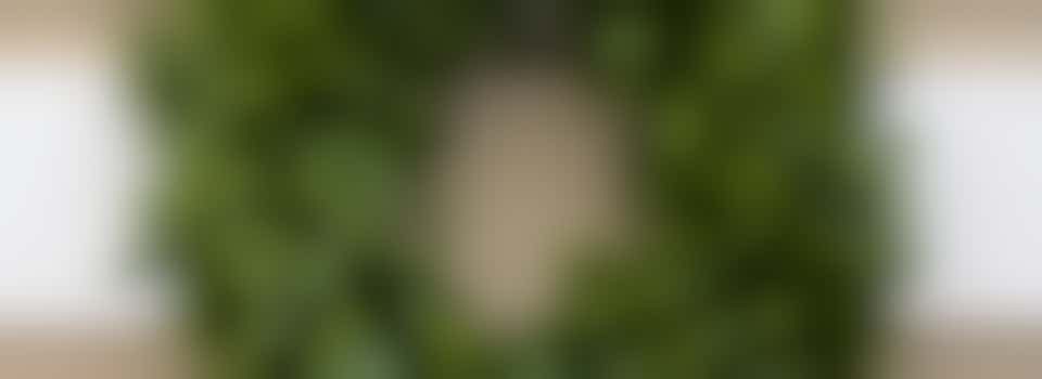 WORKSHOP: MAAK JE EIGEN GROENE KERSTKRANS