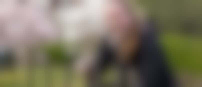 Elementor specialist voor stadstuin Emma's Hof