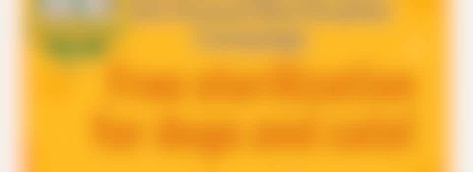 Spay and Neuter Campaign 2025