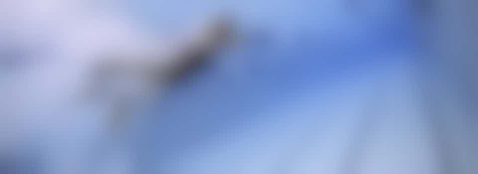 Even weg van de drukte? Trek je zwembroek aan en maak iemand blij!