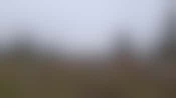 Werken in de Natuur op de Gorsselse Heide