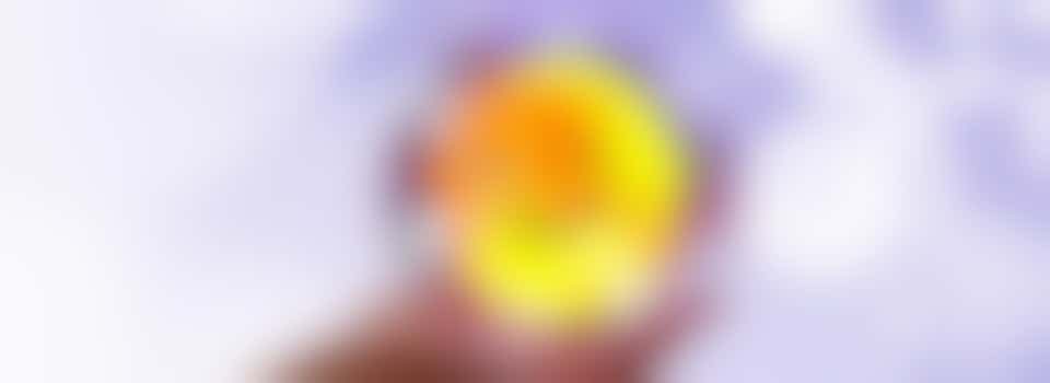 Positieve Gezondheid