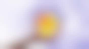 Positieve Gezondheid