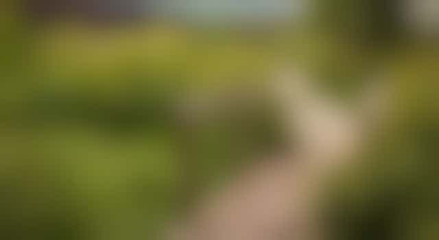 Masterclass voor coördinatoren: "De vrijwilligersorganisatie als reisbureau"