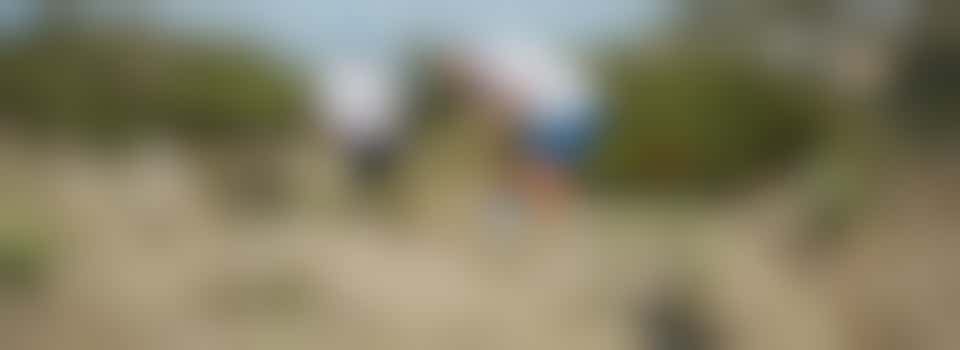 Fort Amsterdam Grass Removal