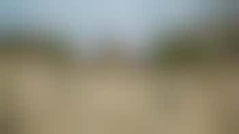 Fort Amsterdam Grass Removal