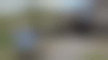 Ward Companion, Cirencester Hospital