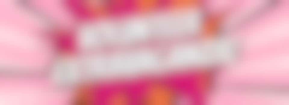 Volunteer Extravaganza 2025