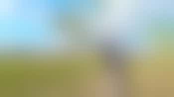 Practical Nature Reserve Volunteer