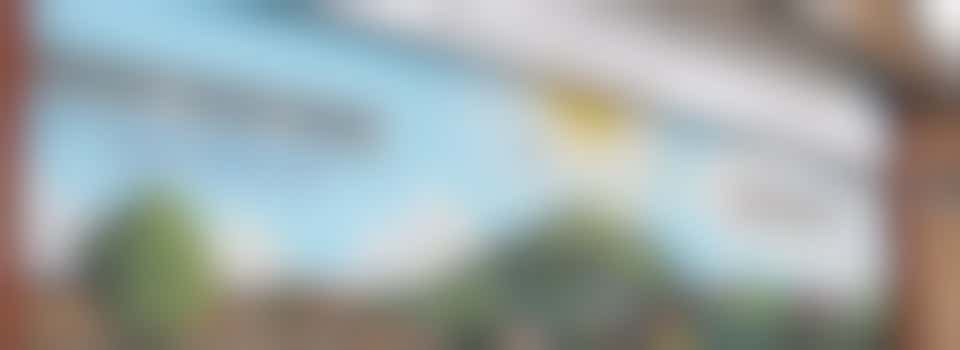 Volunteer Receptionist