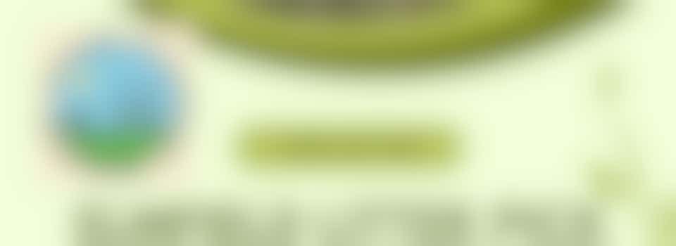 Litter picking and park maintenance