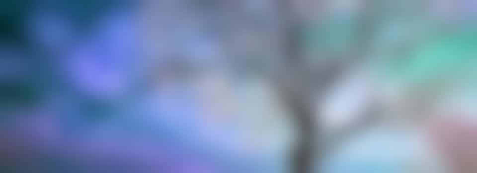 ReConnect's Nature Group at Robinswood Country Park