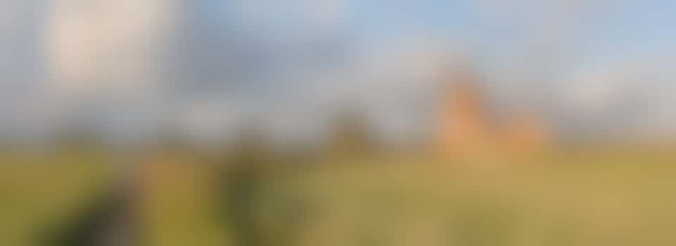Tour Guide St Benet's Abbey