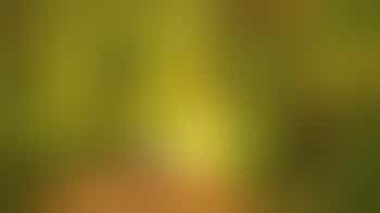 Maatje gezocht voor 71 jarige energieke man