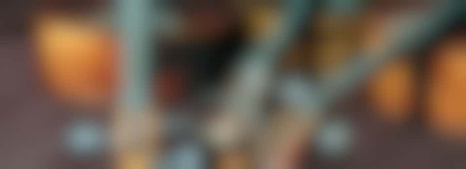 Musical instrument specialist for eBay