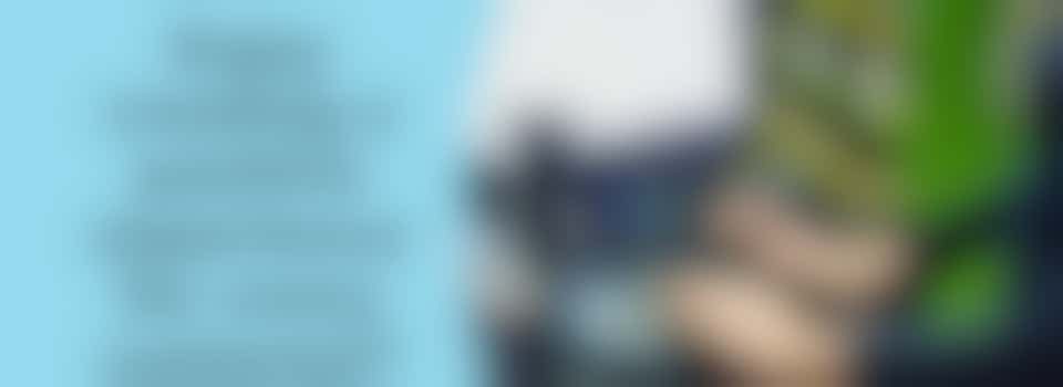 Front of House Volunteer