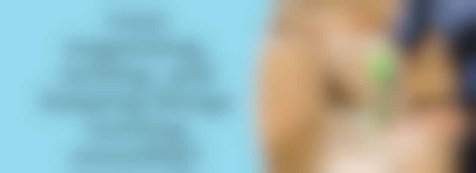 Back of House Volunteer