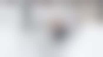 Creative Visitor Volunteer