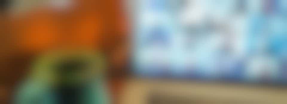 Coördinator webinars