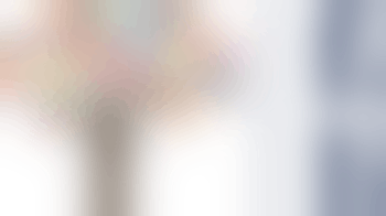 Home Based Live Chat Volunteer