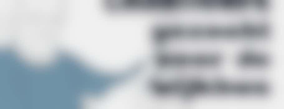 Chauffeur Wijkbus Laak