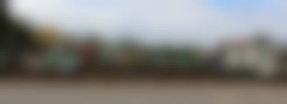 Team Member – Western Logging Team