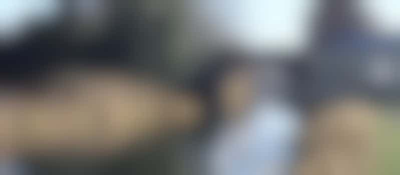 Finance Director (honorary)