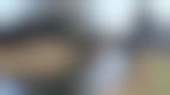 Finance Director (honorary)