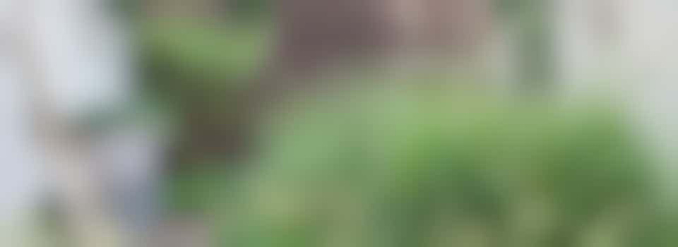 Planner/coördinator vrijwilligersteam gezocht