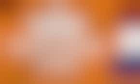 Hulp gezocht op Koningsdag bij Kinderboerderij Otterspoor!