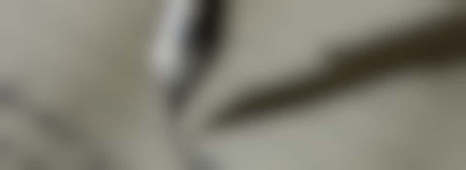 Zomerbieb Kunstworkshop: Dichten