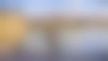 HIP: Zitwandeling langs de Hofvijver