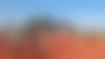 Qi Gong-workshop (55+)