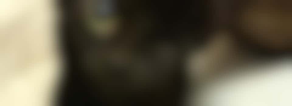 Cat Fosterer Baldock